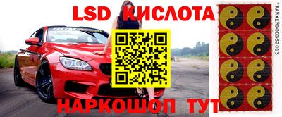 винт Кимры