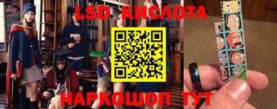 мет Кингисепп