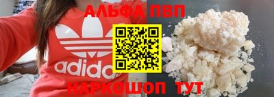 мет Кингисепп