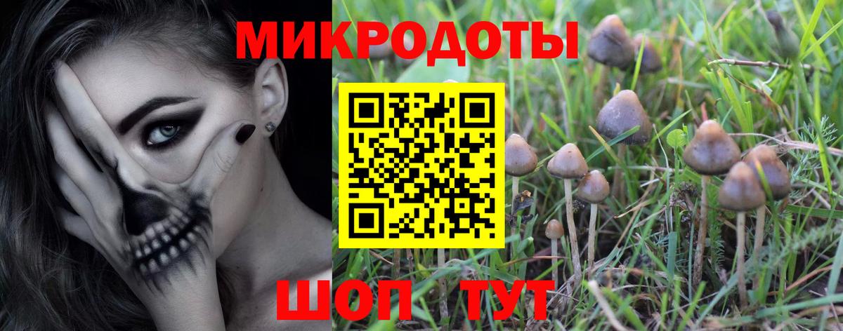 Псилоцибиновые грибы ЛСД  Псилоцибиновые грибы мухоморы  Вход с VPN  Великий Устюг 